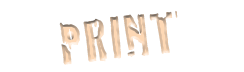 Print Design